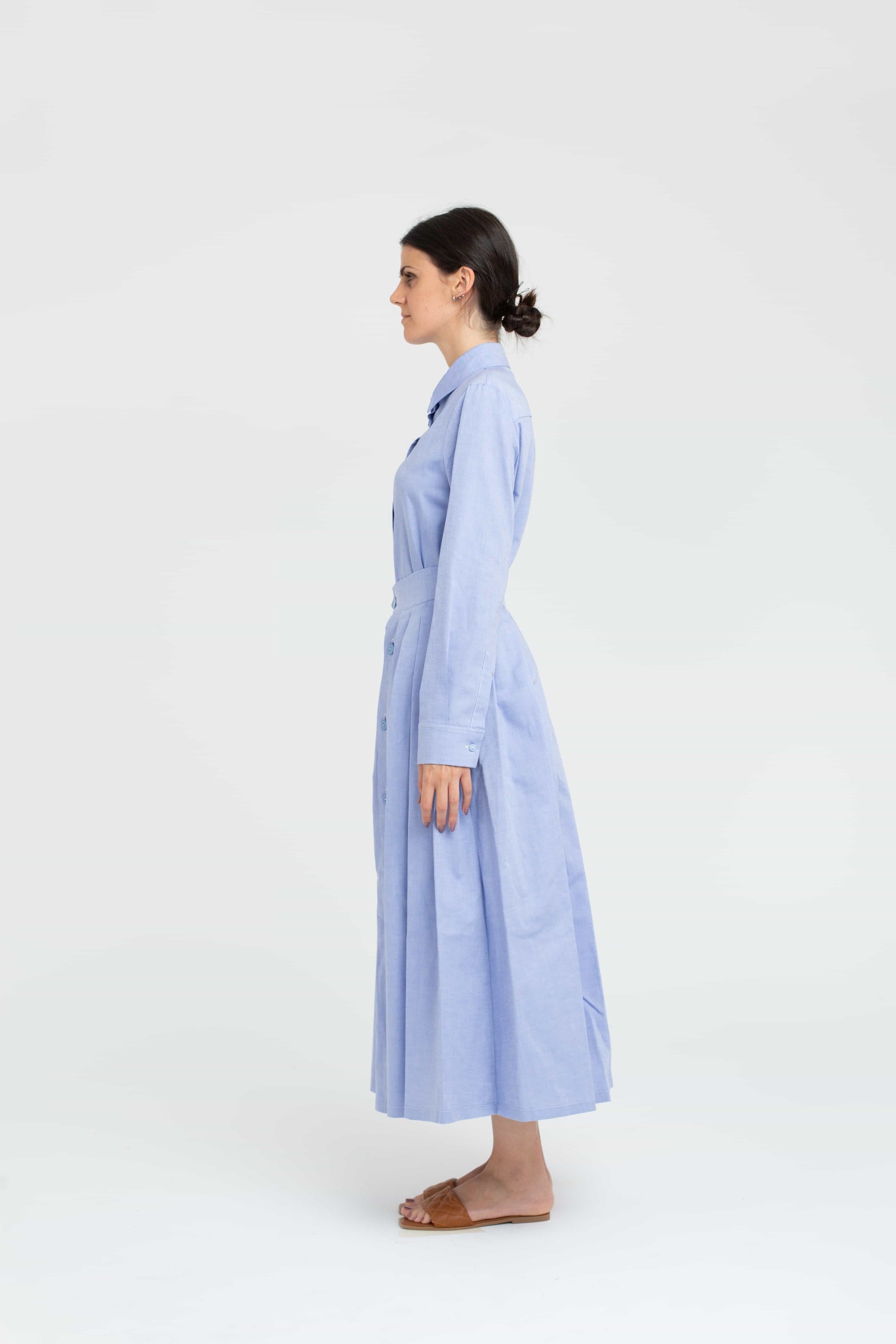 Scilla Celeste